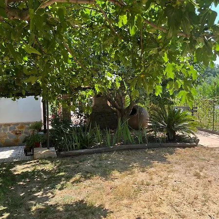 Ruralruna Aracena